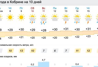 До +30°С ожидается в Кобрине в пятницу