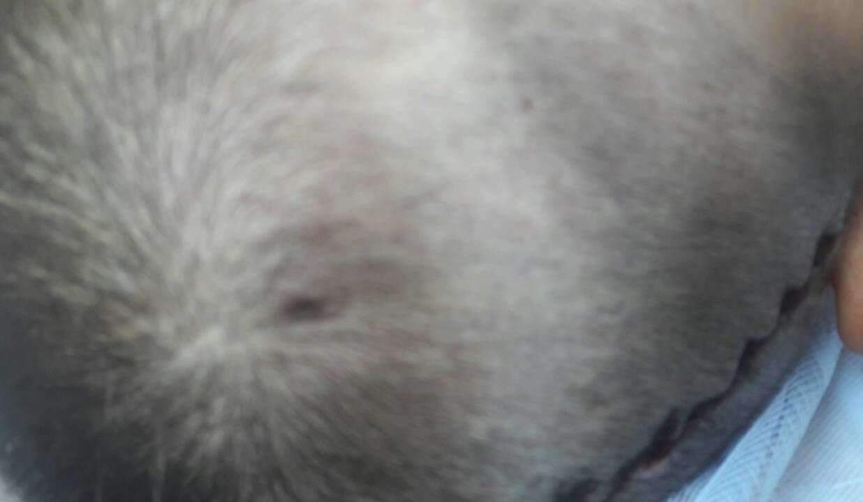 Александр Орлов