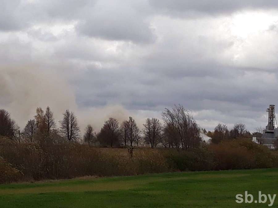 Комбикормовый завод