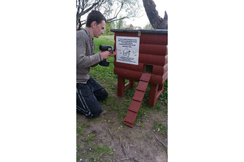 Помощь бездомным животным в Кобрине