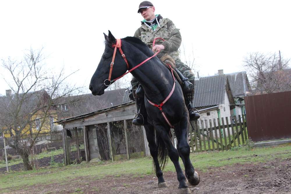 Дрогичинский ковбой