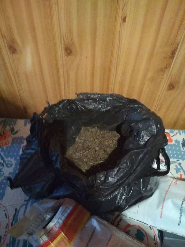 марихуана в консервированном виде