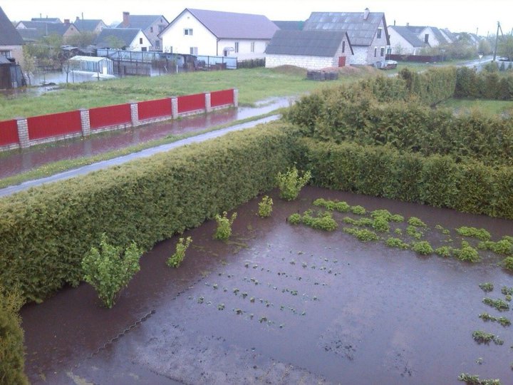 Татьяна Михайловна из города Кобрин