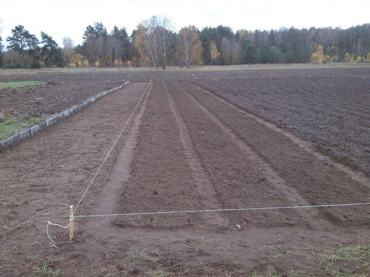 Татьяна Михайловна из города Кобрин