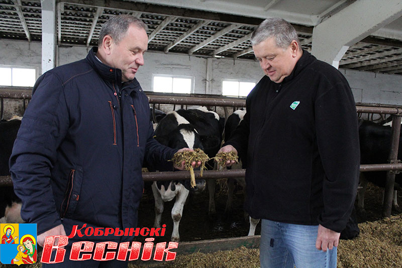  главный зоотехник Эдуард Яковчиц Кобринский район Киселевцы
