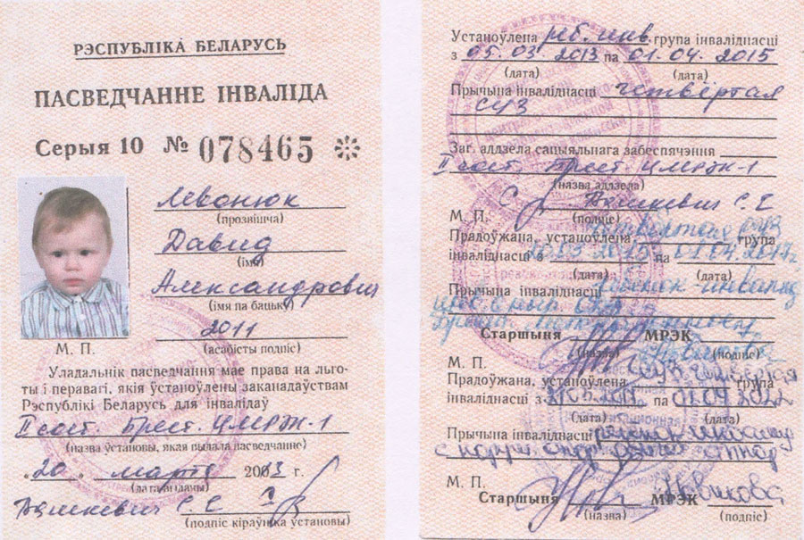 Левонюк Давид Кобрин документы
