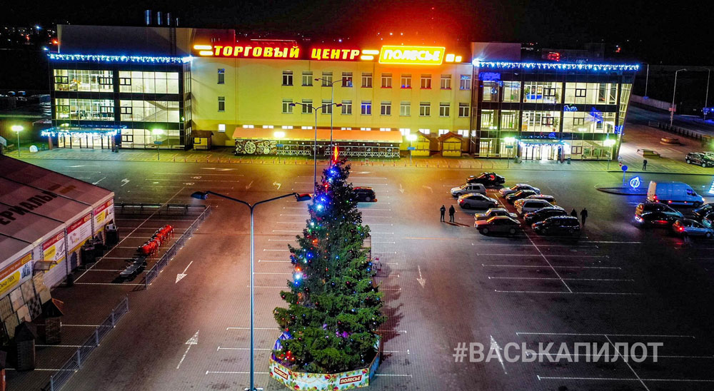 Полесье в Кобрине с высоты