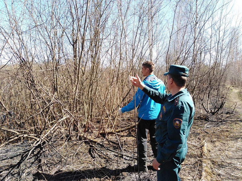Рейды по палам в Кобринском районе