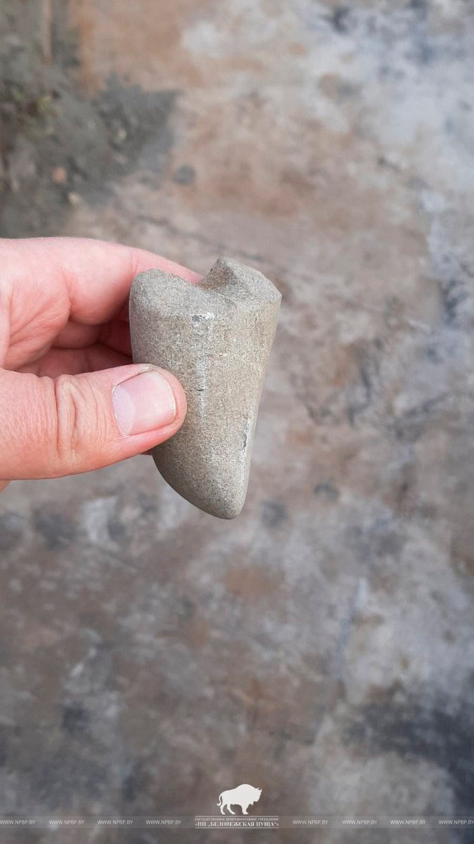 Артефакты из Беловежской пущи