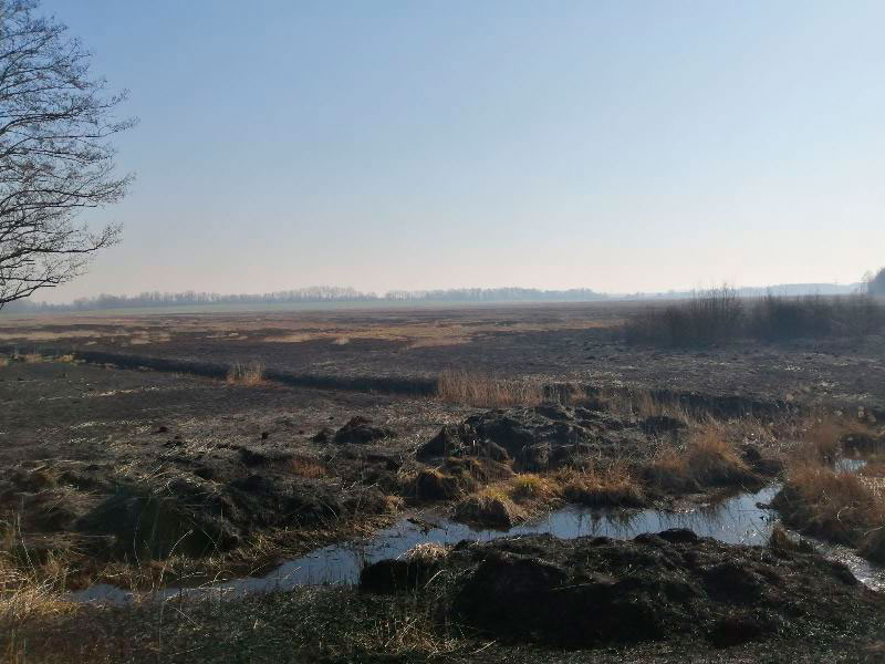 пожар, палы травы