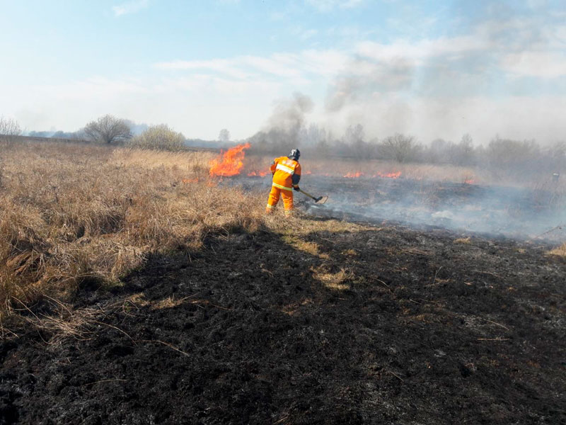 пожар, палы травы
