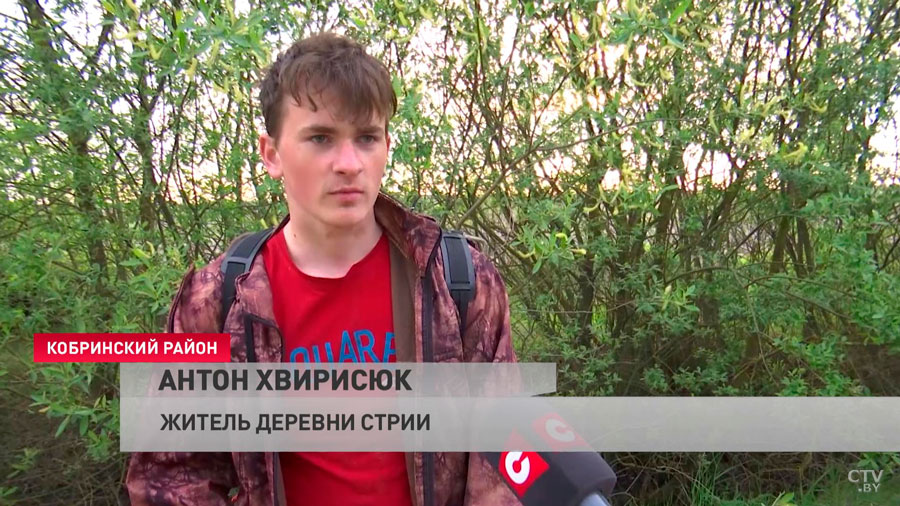Сергей Юцык выбрал Стрии