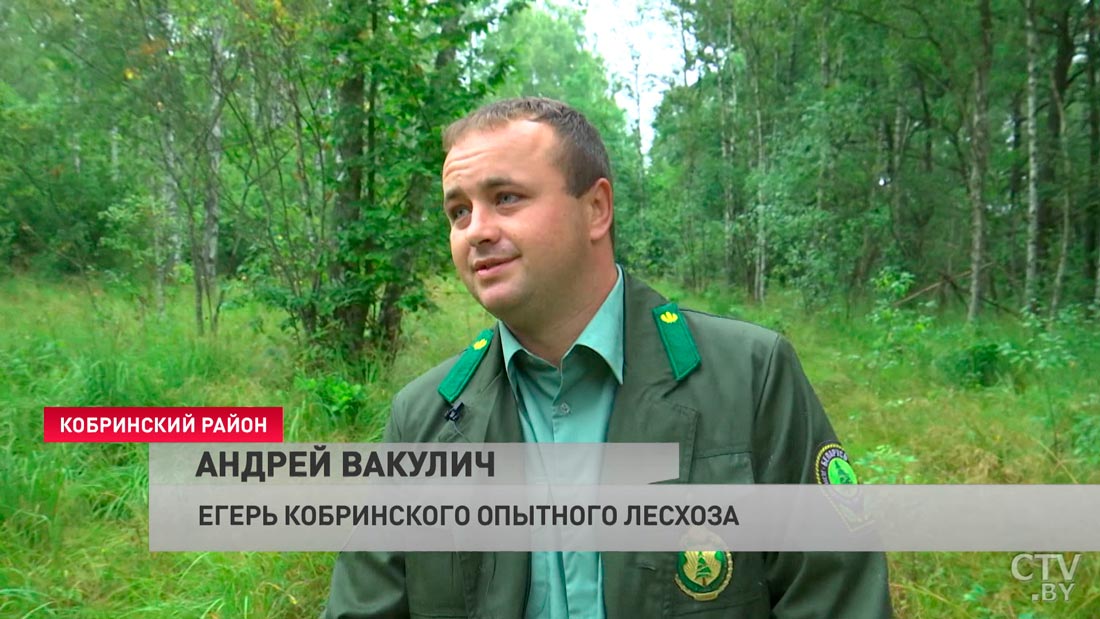 Андрей Вакулич, егерь Кобринского опытного лесхоза