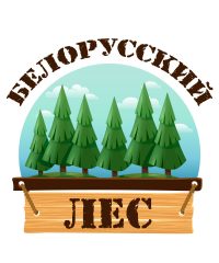 Белорусский лес — Пиломатериалы