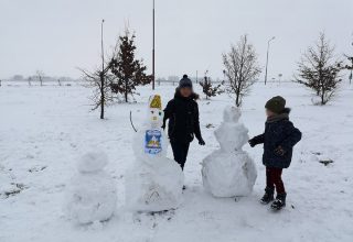 Мокрый снег и дождь ожидаются в Беларуси 18 ноября