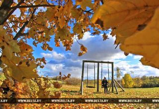 Оранжевый уровень опасности из-за сильного ветра объявлен в Беларуси 28 сентября