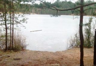 Как сжигали д. Борисовка и уничтожали жителей. «Кровь детей вопиет»