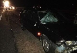 Легковушка насмерть сбила пешехода на трассе М1 в Кобринском районе