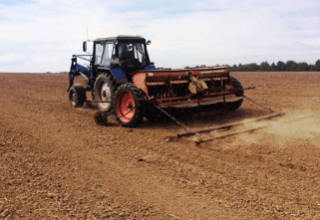 Сев озимых в Брестской области планируют завершить до 1 октября