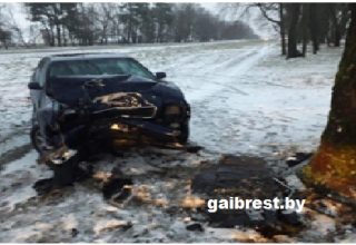 Пружанский район: в результате наезда на придорожное дерево пострадал водитель и пассажирка «Ауди»