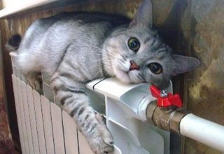 Когда в стране включат отопление?