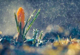 Сырая погода и +5°С ожидается в Беларуси на этой неделе