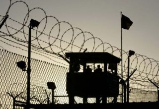 История любви через интернет оказалась непродолжительной. Мужчина обокрал брестчанку и усыпил ее питомца