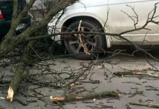 МЧС рекомендует убрать машины из-под деревьев