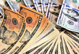 Кобринчанин выманил у знакомых около 30 тысяч долларов на покупку консервного завода