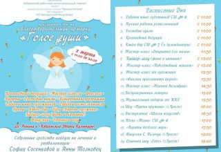 Программа благотворительной ярмарки «Голос души»