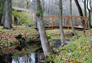 Как защитить сад при резких перепадах температур