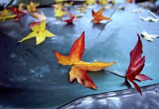 Военкоматы Брестской области начали призыв из запаса