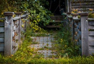 Чаще всего клещи кусают в Барановичах, Бресте и Кобрине