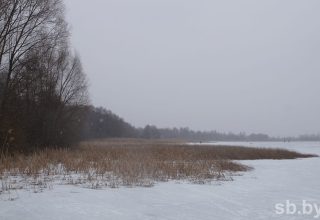 Сельчане Дивина озабочены судьбой озера Любань
