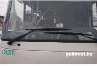 Водитель из Кобрина сбил на пешеходном переходе 14-летнюю девочку