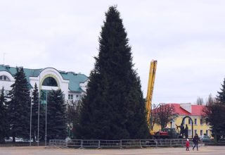 Торжественное открытие новогодней елки в Кобрине (видео)