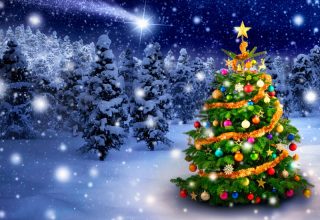 На видео показали, как быстро загорится квартира из-за вспыхнувшей елки