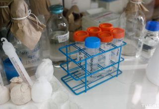 Какие тесты на коронавирус есть в Беларуси, почему их не делают всем желающим