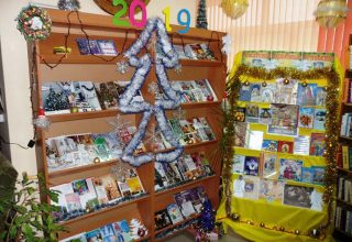 В Кобринской библиотеке проходят книжные выставки