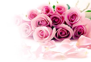 Сегодня День Студента и Татьянин День!