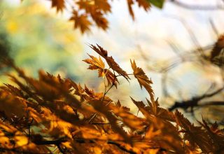 О коммунальных проблемах одного из кобринских общежитий