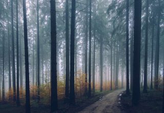 До +16°С ожидается в Беларуси 5 ноября