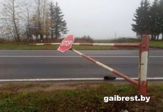 25-летний водитель легковушки сбил дежурного по ж/д переезду, проигнорировав закрытый шлагбаум