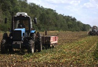 Грубые нарушения выявлены при завершении уборочной кампании в Брестской области