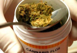 В Польше легализовали марихуану