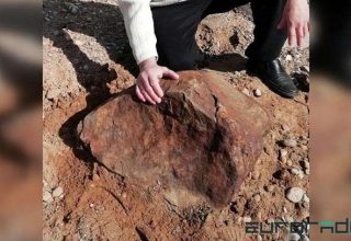 Житель Пружанского района нашел метеорит, который упал на Рождество