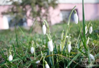 Такой теплой зимы в Беларуси не было 150 лет. Какой будет весна?