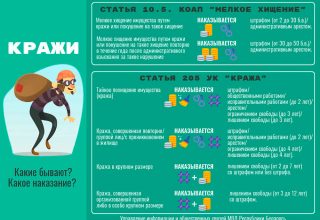 Самый распространенный вид кражи — кража кошелька