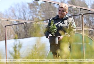 Видео о Кобринском лесхозе