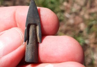 Несколько тысяч артефактов нашли в Беловежской пуще за 3 недели